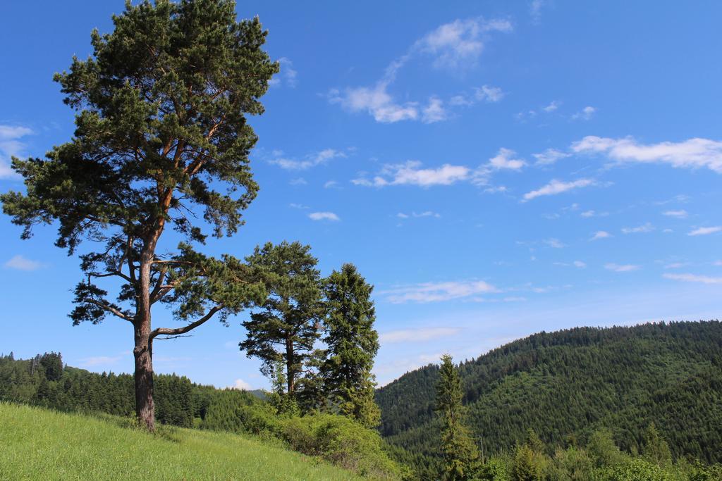Pine Wood Apartment Vyšné Ružbachy Dış mekan fotoğraf