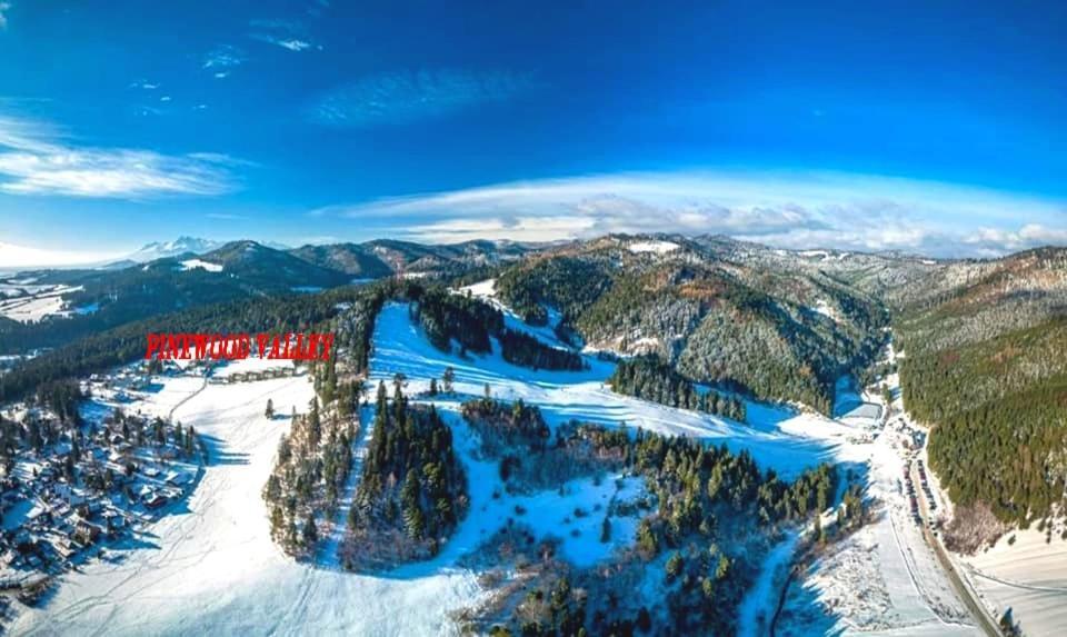 Pine Wood Apartment Vyšné Ružbachy Dış mekan fotoğraf